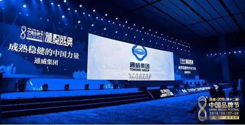 十年回首，中國光伏品牌的全球領導力之路