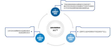 品牌管理決策支持體系的構建與優化